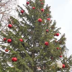 vianočný stromček na Mariánskom námestí